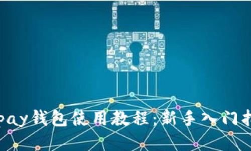 Copay钱包使用教程：新手入门指南