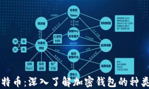 
区块链与比特币：深入了解加密钱包的种类与使用方法