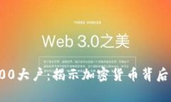 比特币前100大户：揭示加