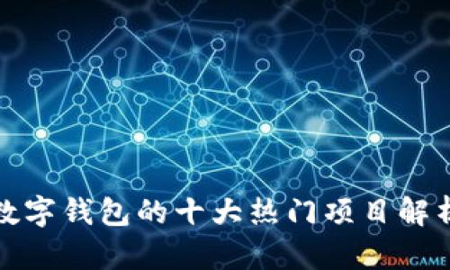 数字钱包的十大热门项目解析