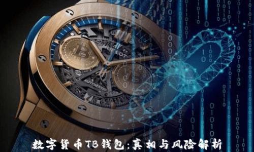 
数字货币TB钱包：真相与风险解析