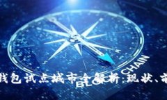 数字货币钱包试点城市全