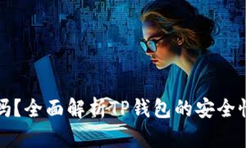 TP钱包安全吗？全面解析TP钱包的安全性与使用指南