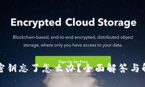 TP钱包密钥忘了怎么办？全面解答与解决方案