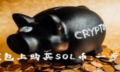 如何在TP钱包上购买SOL币：