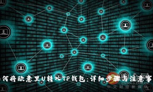 如何将欧意里U转入TP钱包：详细步骤与注意事项
