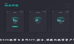 全面解析BHE数字交易所A