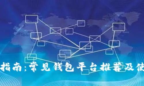 虚拟币提现指南：常见钱包平台推荐及使用注意事项