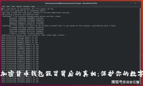 揭开加密货币钱包假冒背后的真相:保护你的数字资产