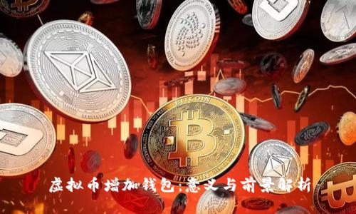 虚拟币增加钱包：意义与前景解析