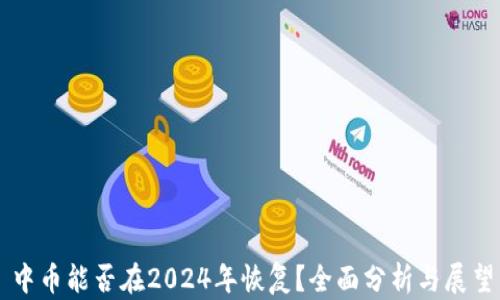 
中币能否在2024年恢复？全面分析与展望