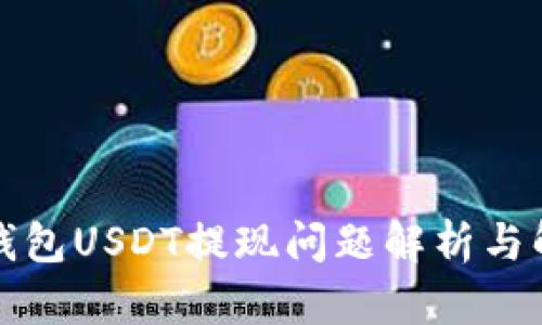 比特派钱包USDT提现问题解析与解决方案