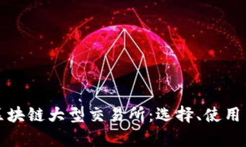 全面解析区块链大型交易所：选择、使用与安全防护