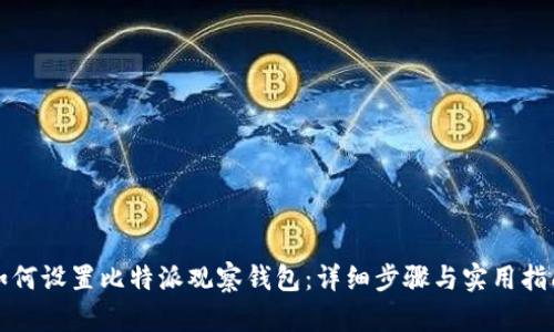 如何设置比特派观察钱包：详细步骤与实用指南