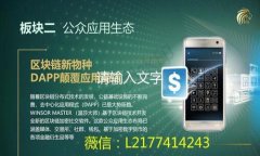 全面解析：200种虚拟币钱
