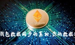 探索加密钱包数据同步的