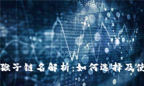TP钱包猴子链名解析：如何选择及使用指南