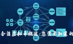 中国合法虚拟币概述：您