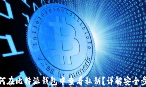 
如何在比特派钱包中查看私钥？详解安全步骤