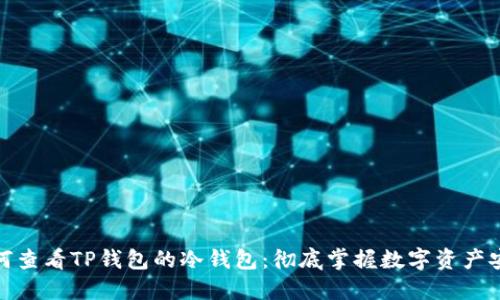 如何查看TP钱包的冷钱包：彻底掌握数字资产安全