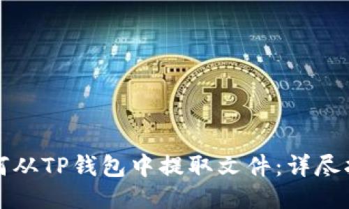 如何从TP钱包中提取文件：详尽指南