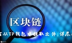 如何从TP钱包中提取文件：