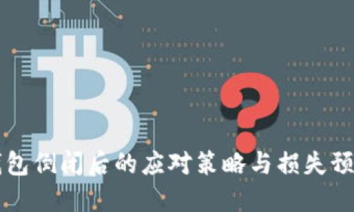 区块链钱包倒闭后的应对策略与损失预防小贴士