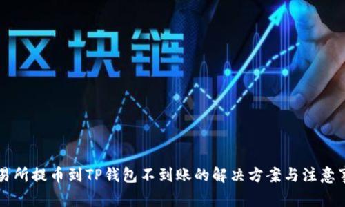 交易所提币到TP钱包不到账的解决方案与注意事项