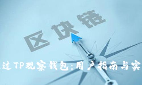 如何通过TP观察钱包：用户指南与实用技巧