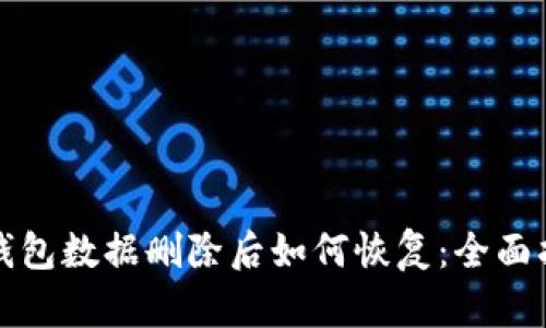 TP钱包数据删除后如何恢复：全面指南