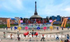  国内TP钱包最新动态与发