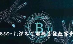 TP钱包BSC-1：深入了解此多