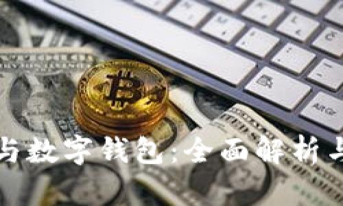 数字货币与数字钱包：全面解析与应用指南