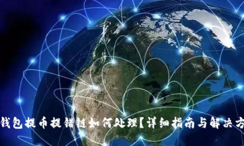 TP钱包提币提错链如何处理？详细指南与解决方案
