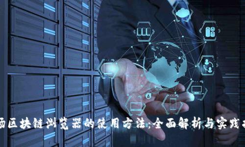 波场区块链浏览器的使用方法：全面解析与实践指南