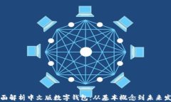 全面解析中文版数字钱包