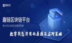 数字钱包停用的原因及应