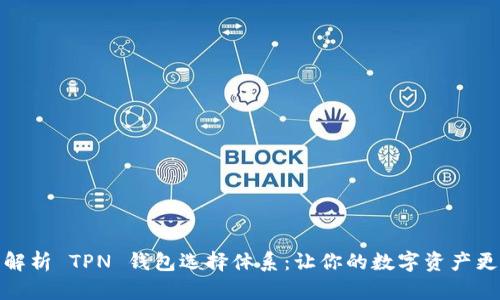 全面解析 TPN 钱包选择体系：让你的数字资产更安全