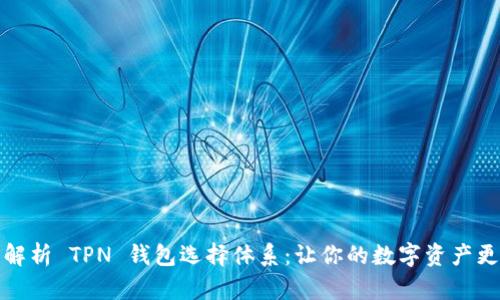 全面解析 TPN 钱包选择体系：让你的数字资产更安全