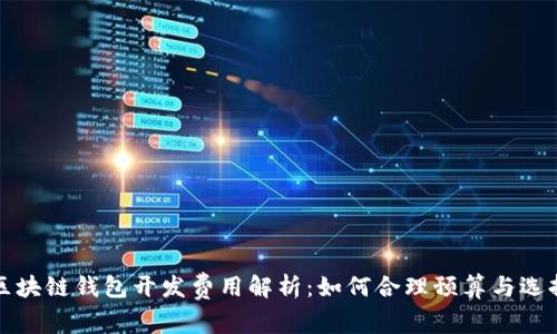 区块链钱包开发费用解析：如何合理预算与选择