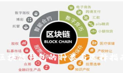 区块链钱包的种类与选择指南