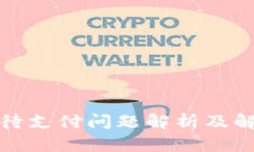TP钱包待支付问题解析及解决方案