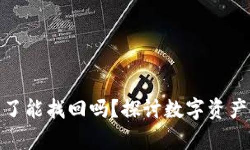 tp钱包币被转走了能找回吗？探讨数字资产安全与找回策略