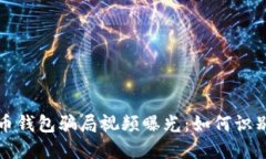 加密货币钱包骗局视频曝