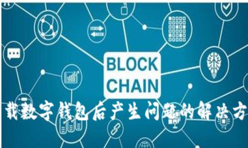 下载数字钱包后产生问题的解决方案