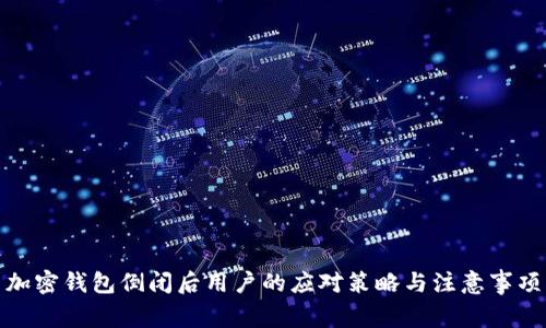 加密钱包倒闭后用户的应对策略与注意事项