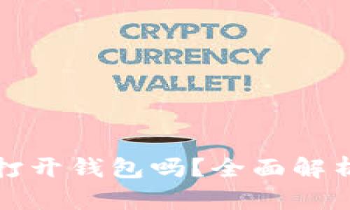 只有助记词可以打开钱包吗？全面解析加密钱包安全性