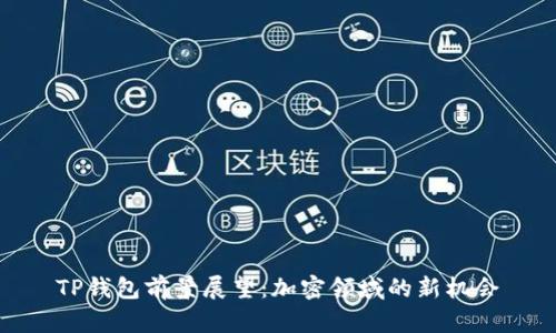 TP钱包前景展望：加密领域的新机会