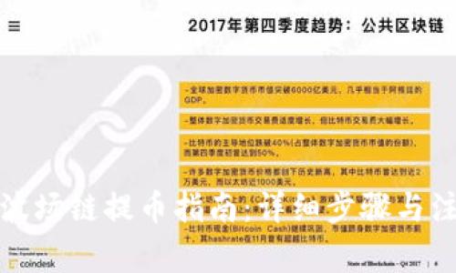 TP钱包波场链提币指南：详细步骤与注意事项