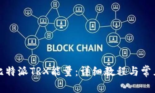 如何获得比特派TRX能量：详细教程与常见问题解答